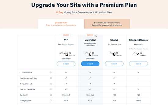 Wix Pricing Plan